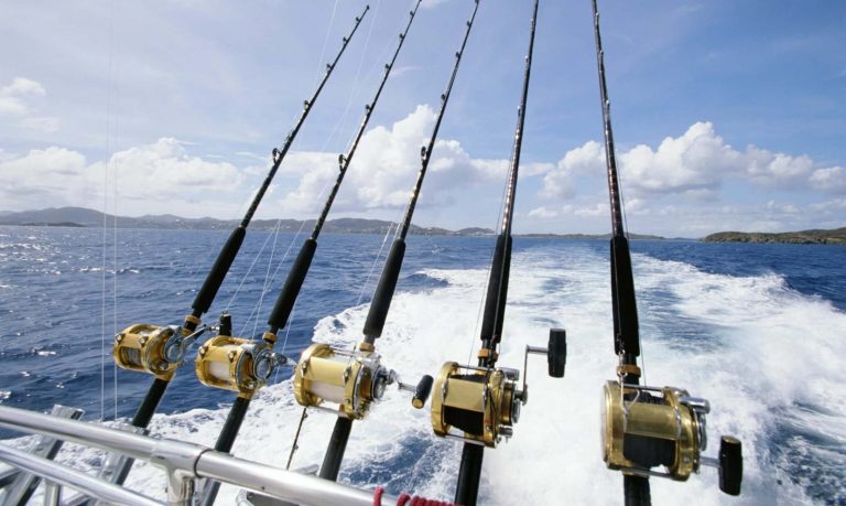 Why Should You Teach Your Child to Fish This Summer